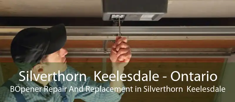 Silverthorn  Keelesdale - Ontario BOpener Repair And Replacement in Silverthorn  Keelesdale