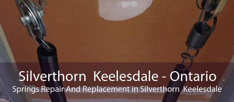 Silverthorn Keelesdale - Ontario Springs Repair And Replacement in Silverthorn Keelesdale