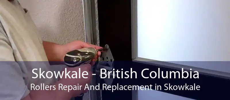 Skowkale - British Columbia Rollers Repair And Replacement in Skowkale