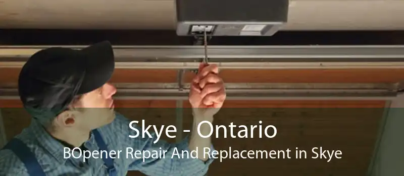 Skye - Ontario BOpener Repair And Replacement in Skye