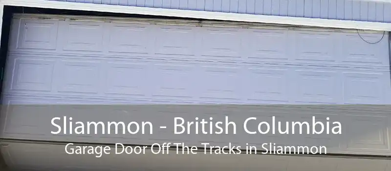 Sliammon - British Columbia Garage Door Off The Tracks in Sliammon