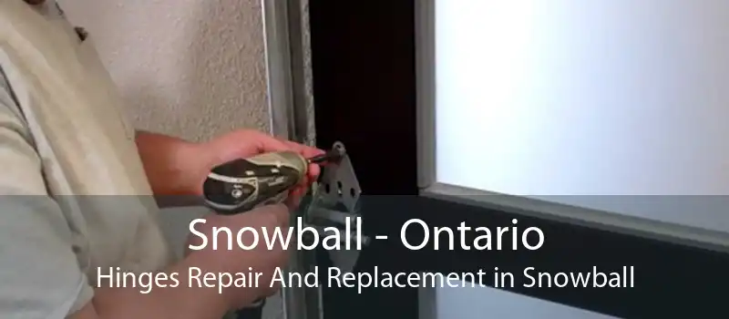 Snowball - Ontario Hinges Repair And Replacement in Snowball