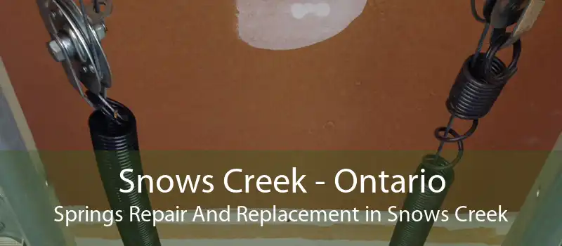 Snows Creek - Ontario Springs Repair And Replacement in Snows Creek