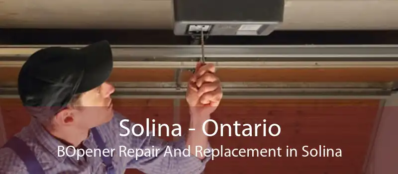 Solina - Ontario BOpener Repair And Replacement in Solina
