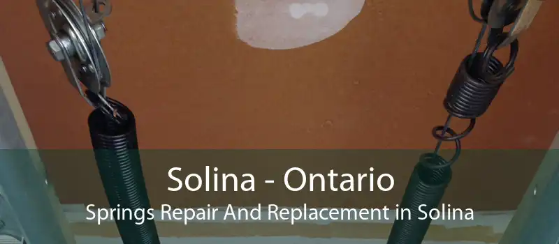 Solina - Ontario Springs Repair And Replacement in Solina