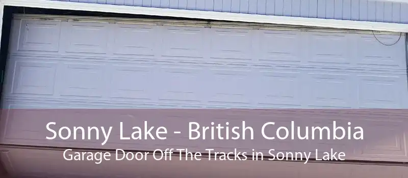 Sonny Lake - British Columbia Garage Door Off The Tracks in Sonny Lake
