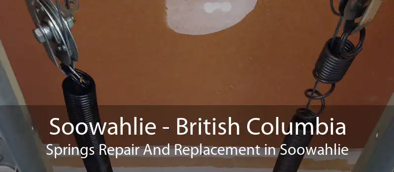 Soowahlie - British Columbia Springs Repair And Replacement in Soowahlie