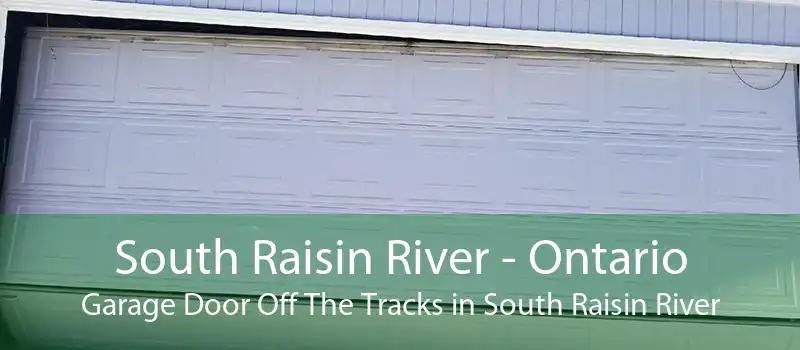 South Raisin River - Ontario Garage Door Off The Tracks in South Raisin River