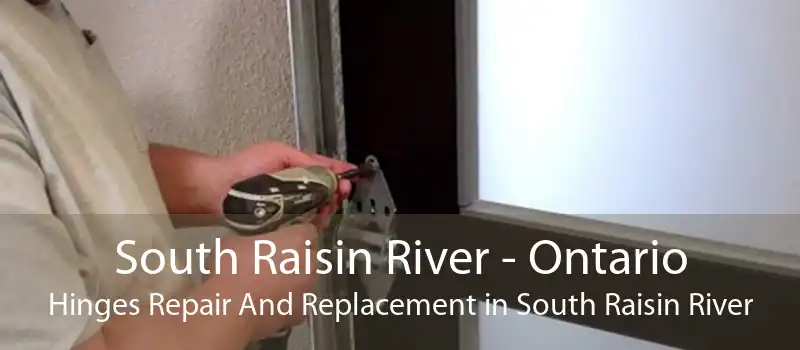 South Raisin River - Ontario Hinges Repair And Replacement in South Raisin River