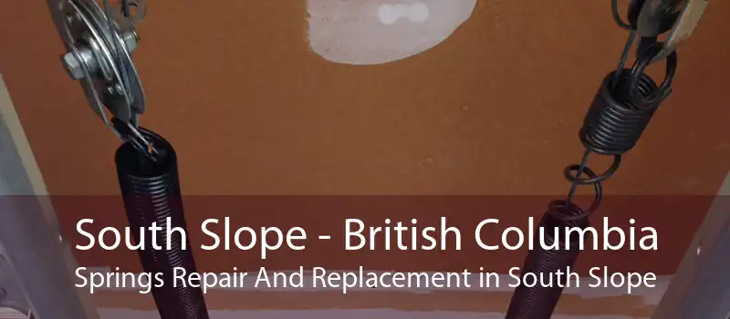 South Slope - British Columbia Springs Repair And Replacement in South Slope