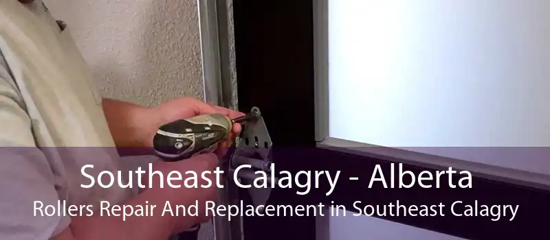 Southeast Calagry - Alberta Rollers Repair And Replacement in Southeast Calagry