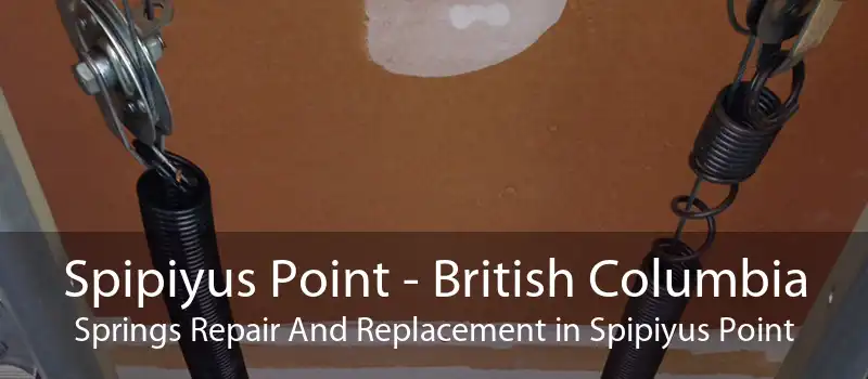 Spipiyus Point - British Columbia Springs Repair And Replacement in Spipiyus Point