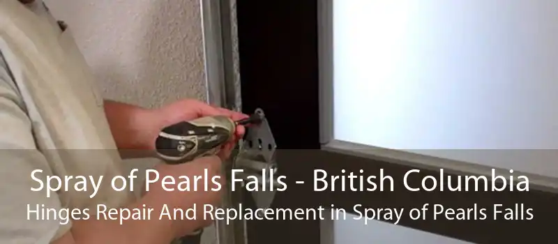 Spray of Pearls Falls - British Columbia Hinges Repair And Replacement in Spray of Pearls Falls