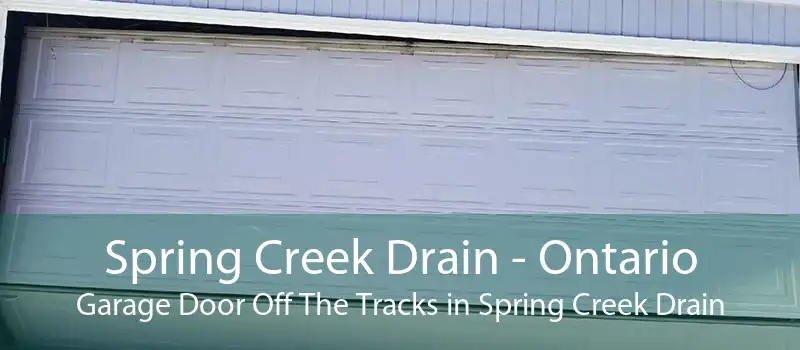 Spring Creek Drain - Ontario Garage Door Off The Tracks in Spring Creek Drain