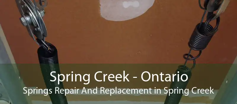 Spring Creek - Ontario Springs Repair And Replacement in Spring Creek