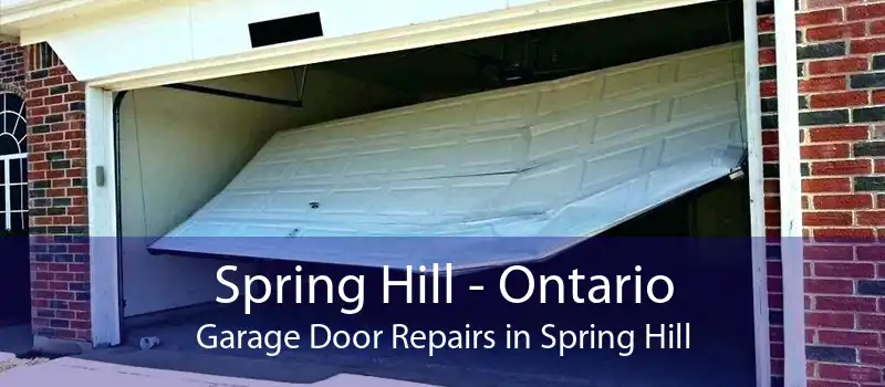 Spring Hill - Ontario Garage Door Repairs in Spring Hill