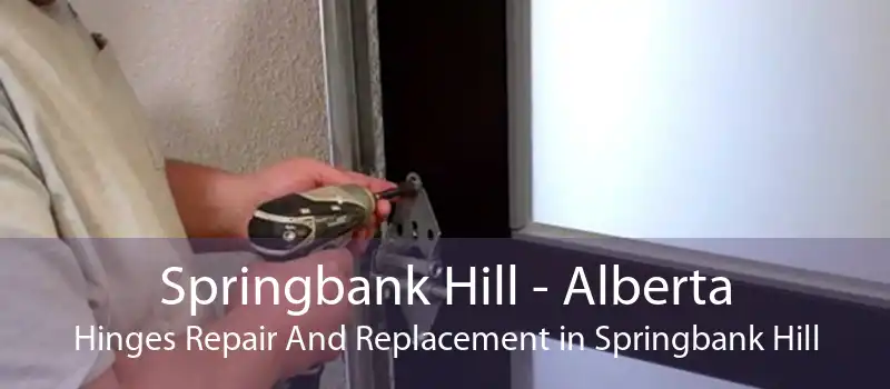 Springbank Hill - Alberta Hinges Repair And Replacement in Springbank Hill