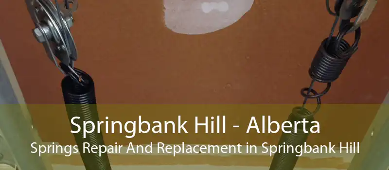 Springbank Hill - Alberta Springs Repair And Replacement in Springbank Hill