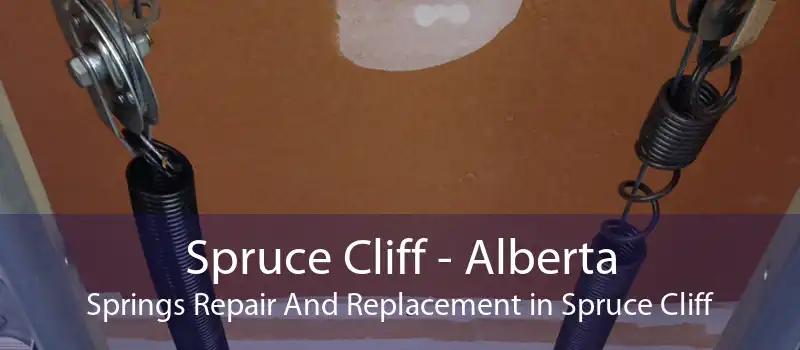 Spruce Cliff - Alberta Springs Repair And Replacement in Spruce Cliff