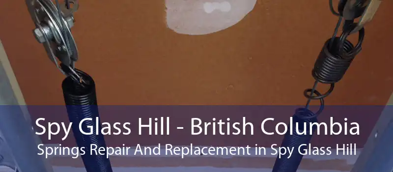 Spy Glass Hill - British Columbia Springs Repair And Replacement in Spy Glass Hill