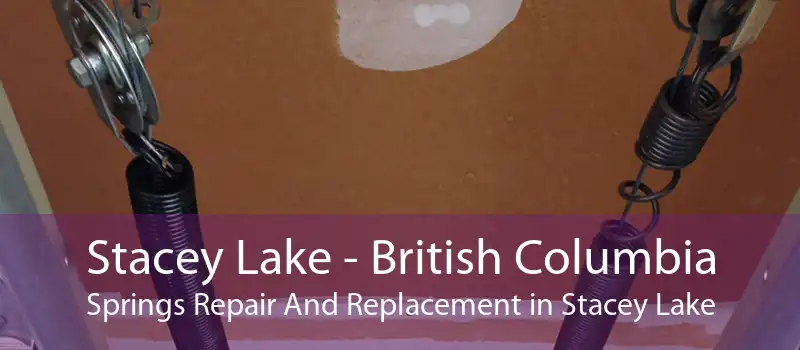 Stacey Lake - British Columbia Springs Repair And Replacement in Stacey Lake
