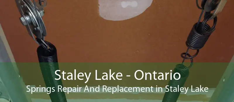 Staley Lake - Ontario Springs Repair And Replacement in Staley Lake