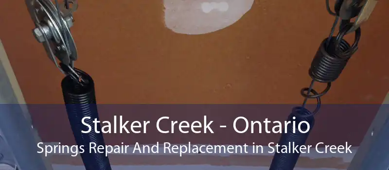 Stalker Creek - Ontario Springs Repair And Replacement in Stalker Creek