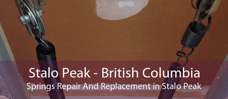 Stalo Peak - British Columbia Springs Repair And Replacement in Stalo Peak