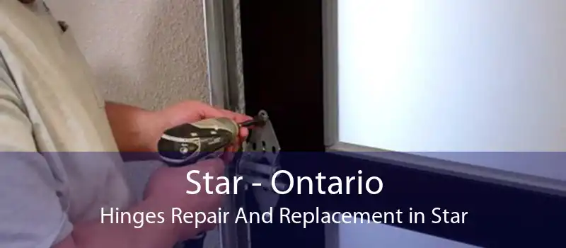 Star - Ontario Hinges Repair And Replacement in Star