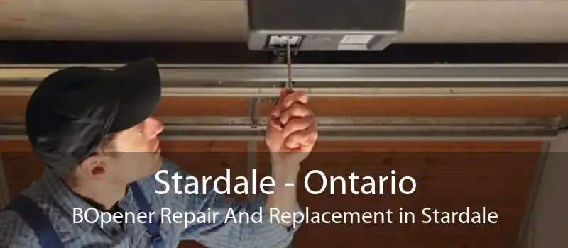 Stardale - Ontario BOpener Repair And Replacement in Stardale
