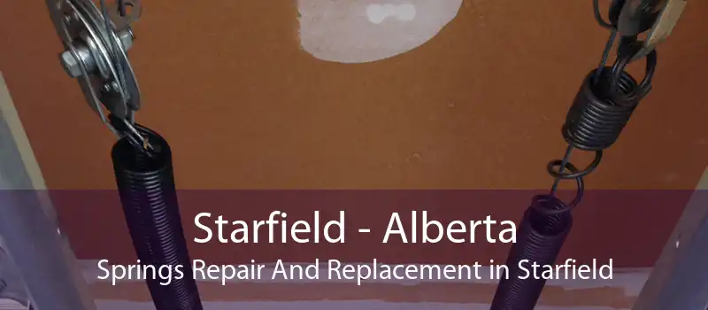 Starfield - Alberta Springs Repair And Replacement in Starfield