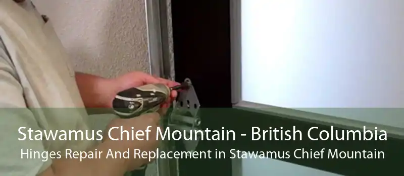 Stawamus Chief Mountain - British Columbia Hinges Repair And Replacement in Stawamus Chief Mountain