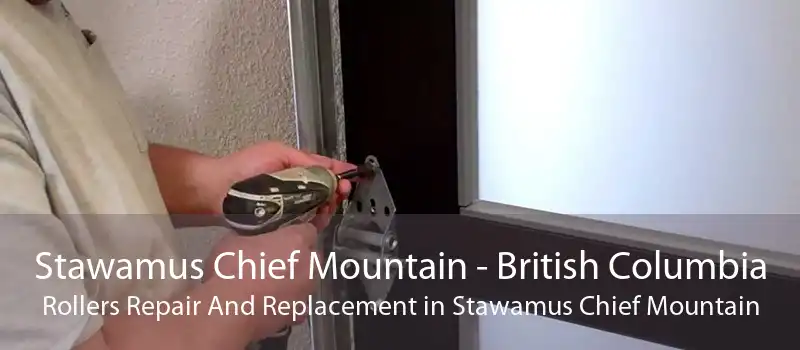 Stawamus Chief Mountain - British Columbia Rollers Repair And Replacement in Stawamus Chief Mountain