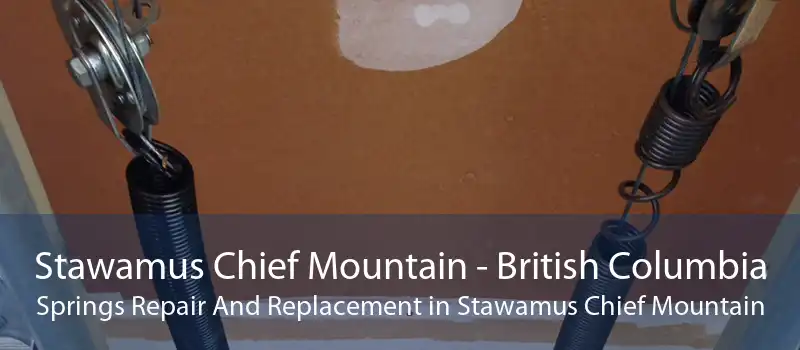 Stawamus Chief Mountain - British Columbia Springs Repair And Replacement in Stawamus Chief Mountain