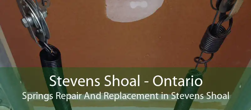 Stevens Shoal - Ontario Springs Repair And Replacement in Stevens Shoal