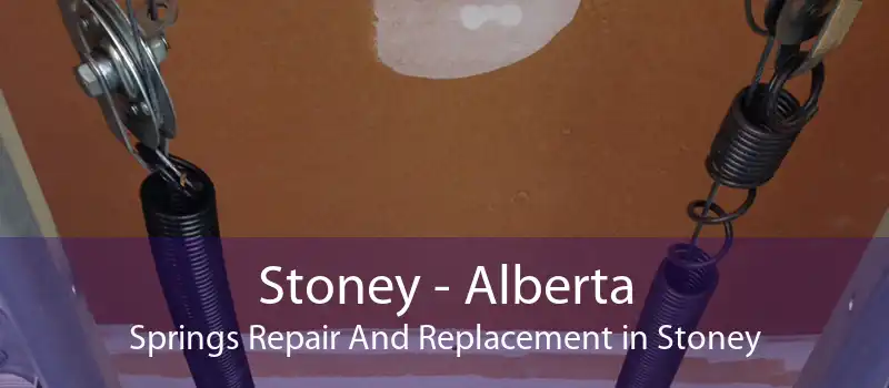 Stoney - Alberta Springs Repair And Replacement in Stoney