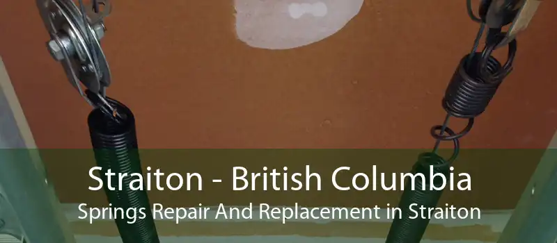 Straiton - British Columbia Springs Repair And Replacement in Straiton