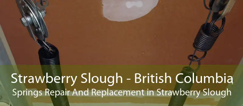 Strawberry Slough - British Columbia Springs Repair And Replacement in Strawberry Slough