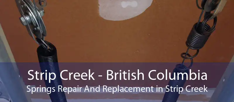 Strip Creek - British Columbia Springs Repair And Replacement in Strip Creek