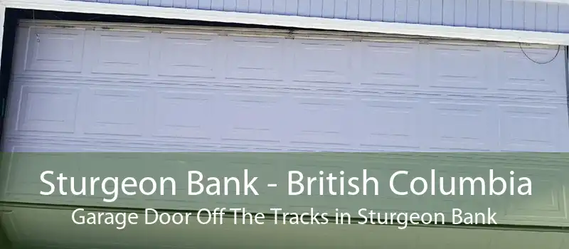 Sturgeon Bank - British Columbia Garage Door Off The Tracks in Sturgeon Bank