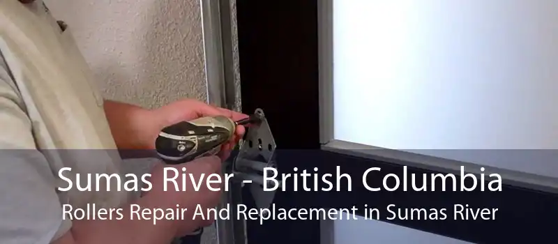 Sumas River - British Columbia Rollers Repair And Replacement in Sumas River