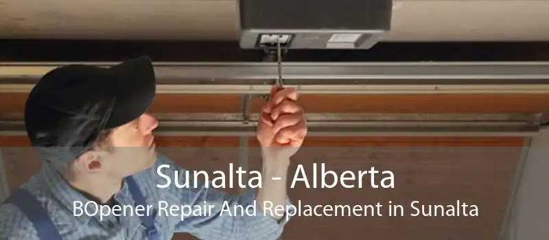 Sunalta - Alberta BOpener Repair And Replacement in Sunalta