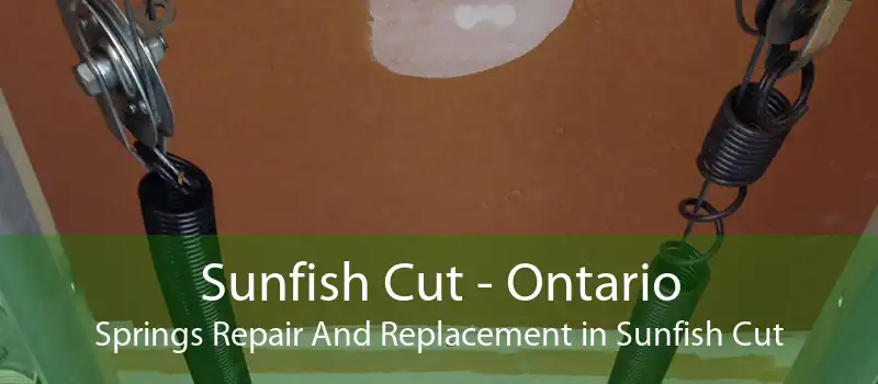 Sunfish Cut - Ontario Springs Repair And Replacement in Sunfish Cut