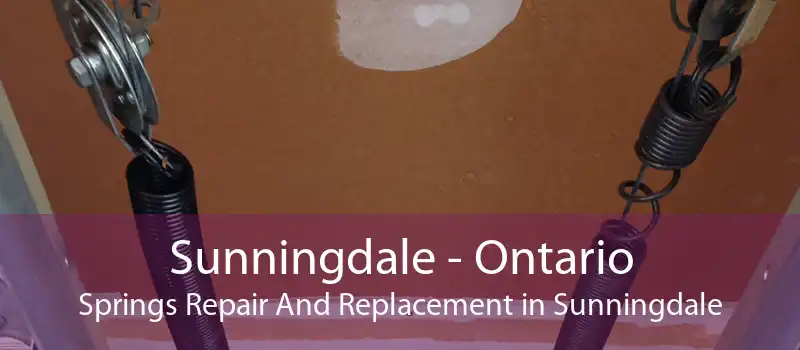 Sunningdale - Ontario Springs Repair And Replacement in Sunningdale