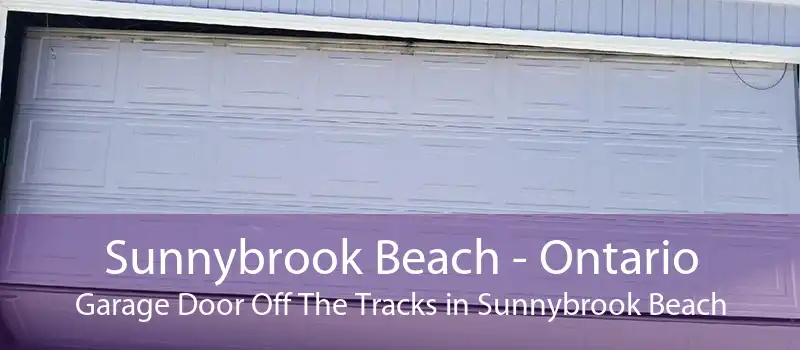 Sunnybrook Beach - Ontario Garage Door Off The Tracks in Sunnybrook Beach