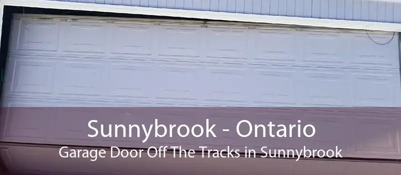 Sunnybrook - Ontario Garage Door Off The Tracks in Sunnybrook