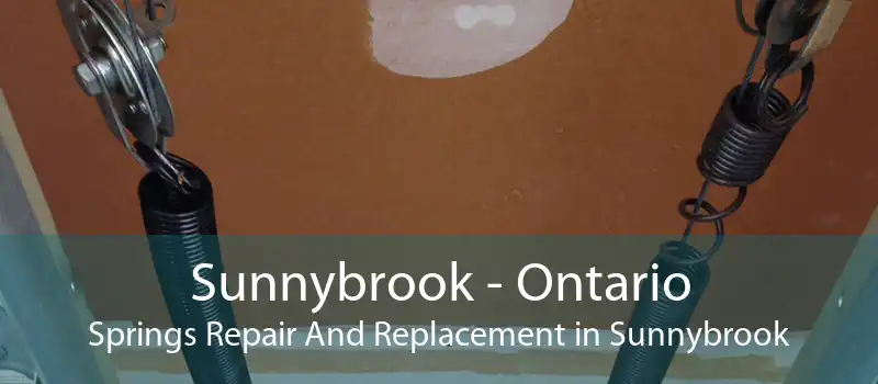Sunnybrook - Ontario Springs Repair And Replacement in Sunnybrook