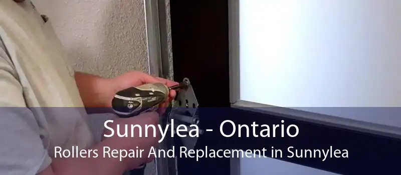 Sunnylea - Ontario Rollers Repair And Replacement in Sunnylea
