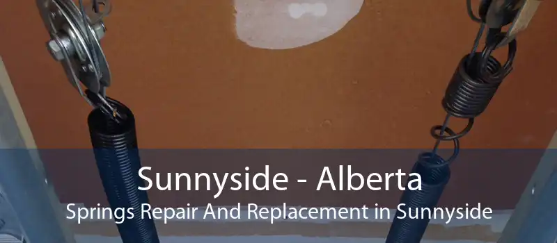 Sunnyside - Alberta Springs Repair And Replacement in Sunnyside