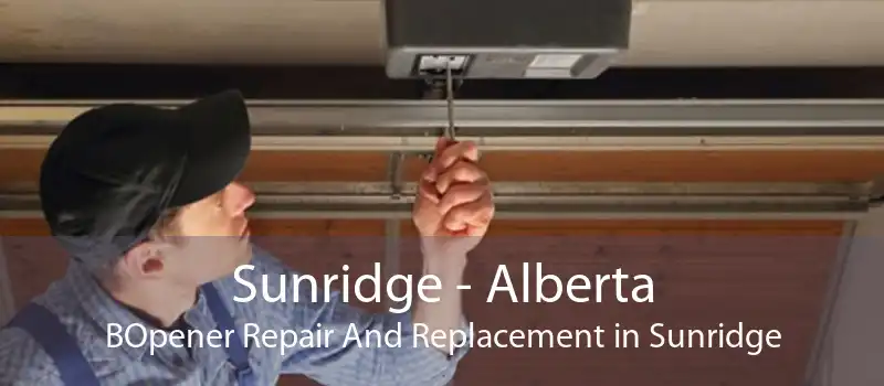 Sunridge - Alberta BOpener Repair And Replacement in Sunridge